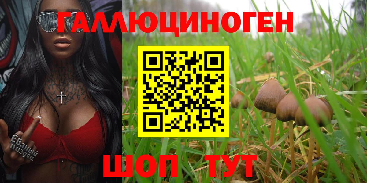 Партизанск  Псилоцибиновые грибы мухоморы  Вход с VPN 