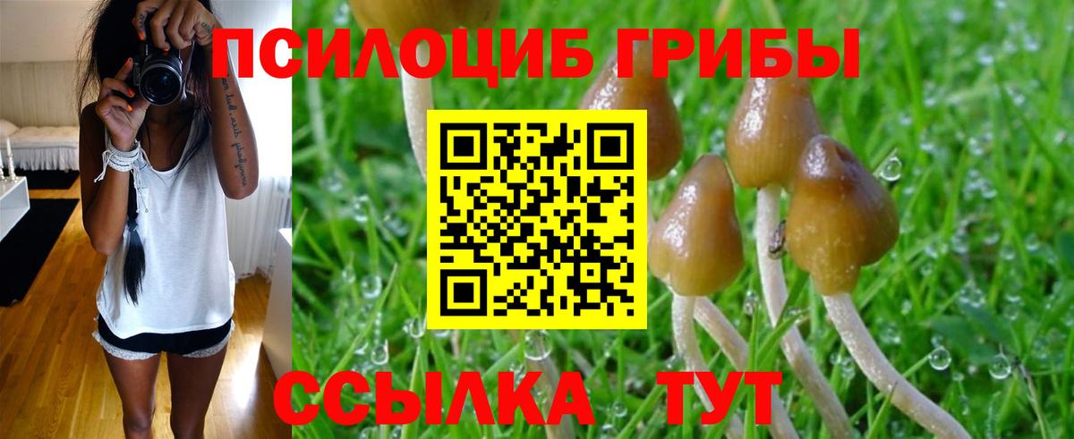 Меф мяу мяу Партизанск